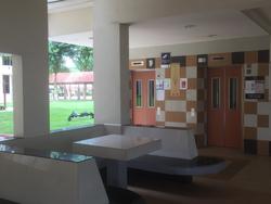 Blk 503 Bedok North Street 3 (Bedok), HDB 3 Rooms #154079252